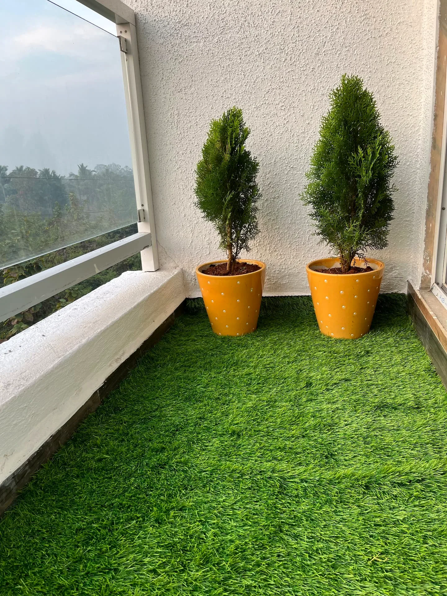 A quiet balcony corner with potted plants